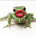 Frog Transparent Google 2.0: The Calculating Predator