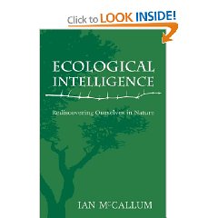 Amazon Page