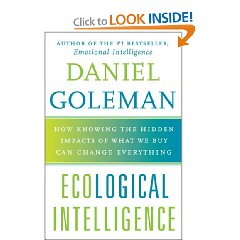 cover eco intel big Amazon Page