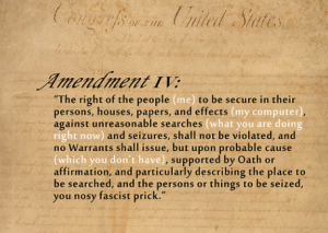 graphic constitution privacy Full Story Online