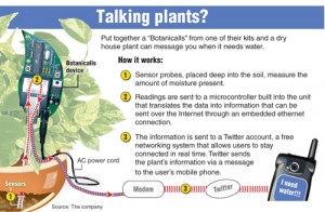 a talking plants