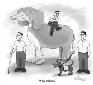 ducking the elephant