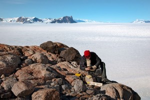 antarctic