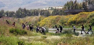 syria fleeing
