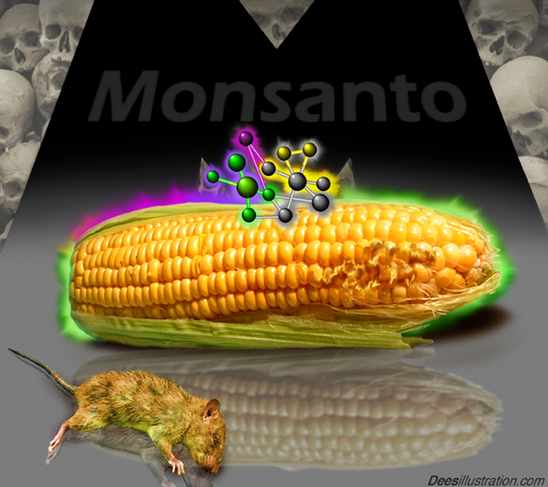 Des agriculteurs poursuivent Monsanto