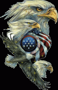 eagles around flag