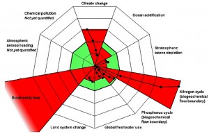 nine planetary boundaries